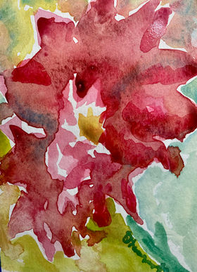 Red Flower.jpeg