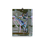 Thumbnail: Profound Hallucinations #2