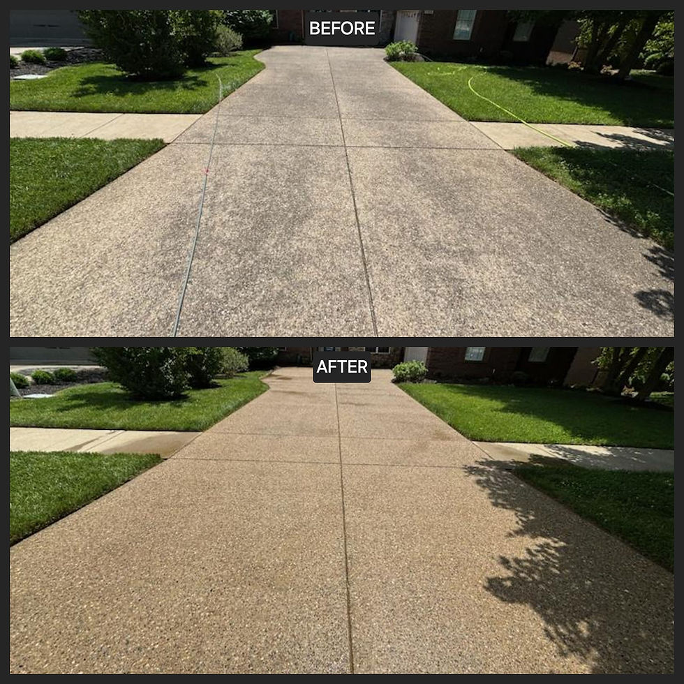 Driveway Cleaning Before & After