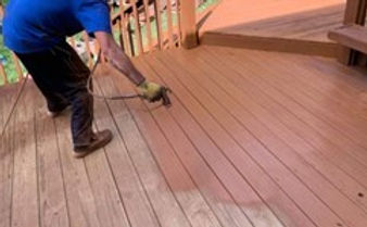 Experienced Stainers
