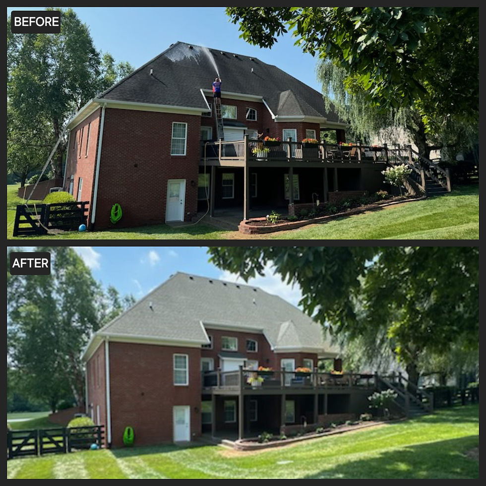 Roof Soft Wash Before & After