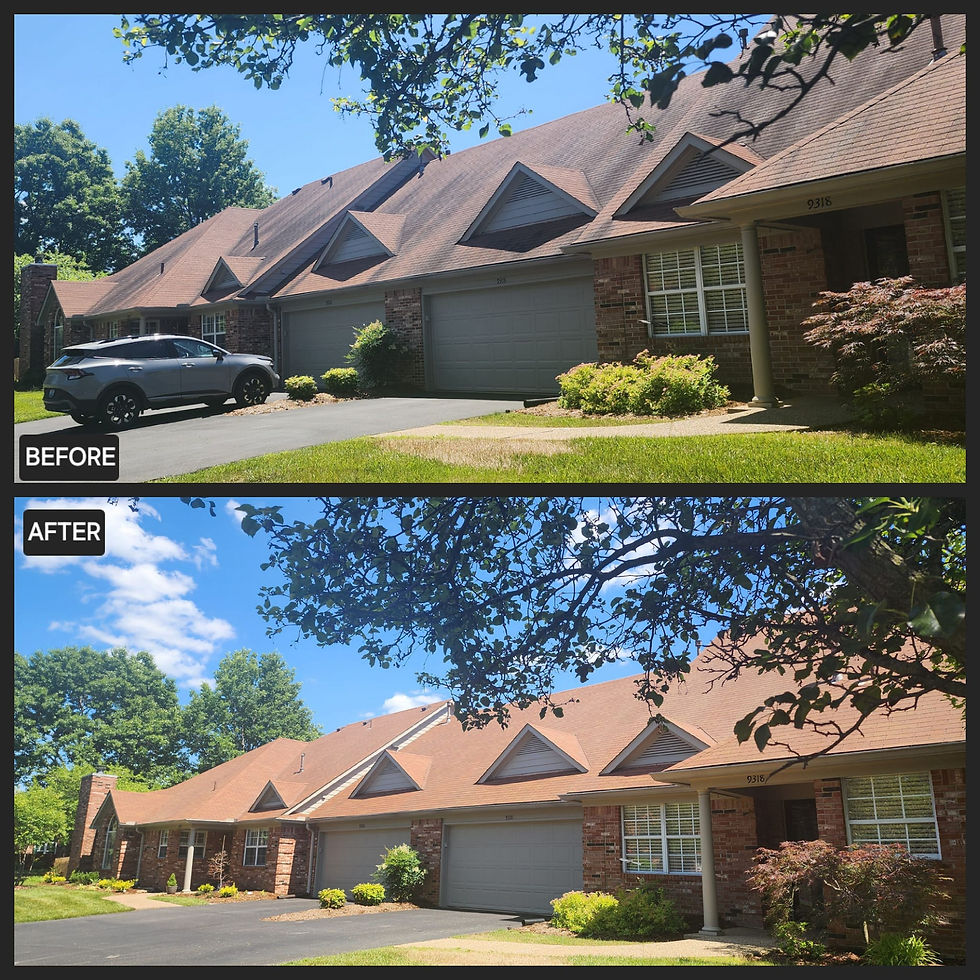 Roof Soft Wash Before & After