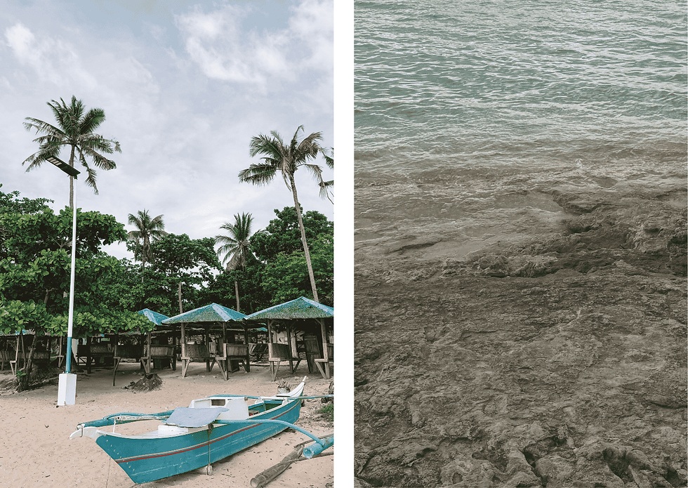 Mooiste stranden in Moalboal in de Filipijnen
