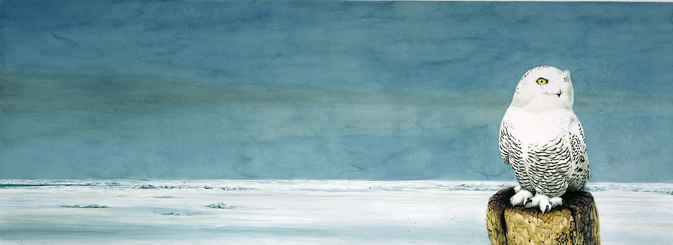 Cold Mist and Aqua, sold, large