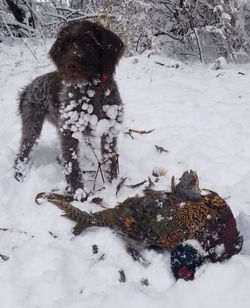 49938631_738523663213723_840828228740526