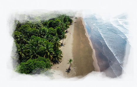 Uvita 2_edited.png