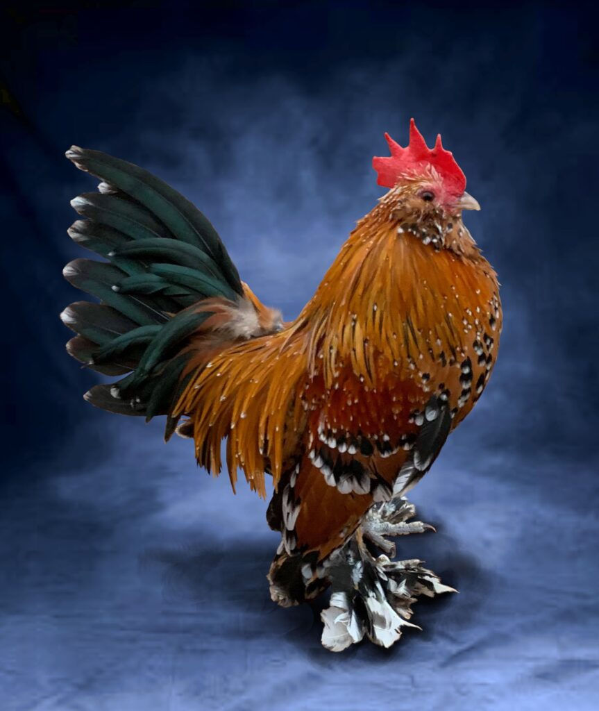 ree