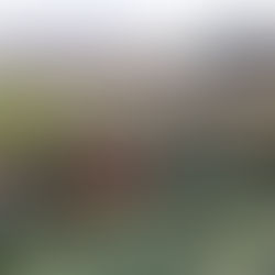 福岡市「遊休農地活用促進プロジェクト」参画のご報告