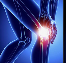 bone joint supplements