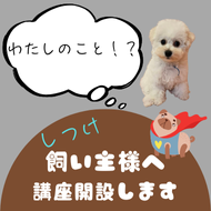 飼い主様講座