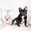 Thumbnail: Custom Pet Portraits