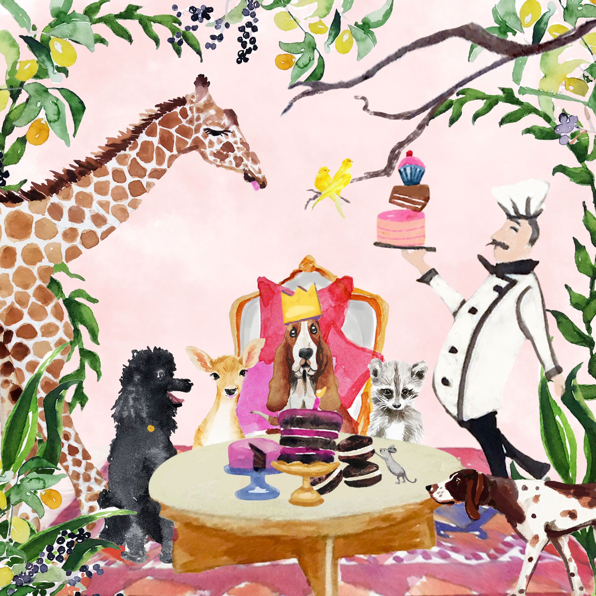 Clementines 5th Birthday