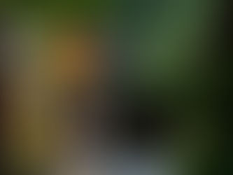 Navigating Cultures: How Visitors and Hosts Can Coexist