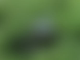 The Role of Law in Promoting Recycling