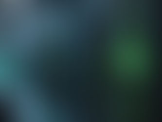 The Balance Between Openness and Protection