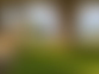 Investing in Transport: New or Existing?