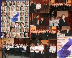 Lux Perpetua 2007 Performance and Misc collage