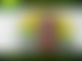 Chamamento para Manifestação pelo Pagameto do 13° Salário 2024