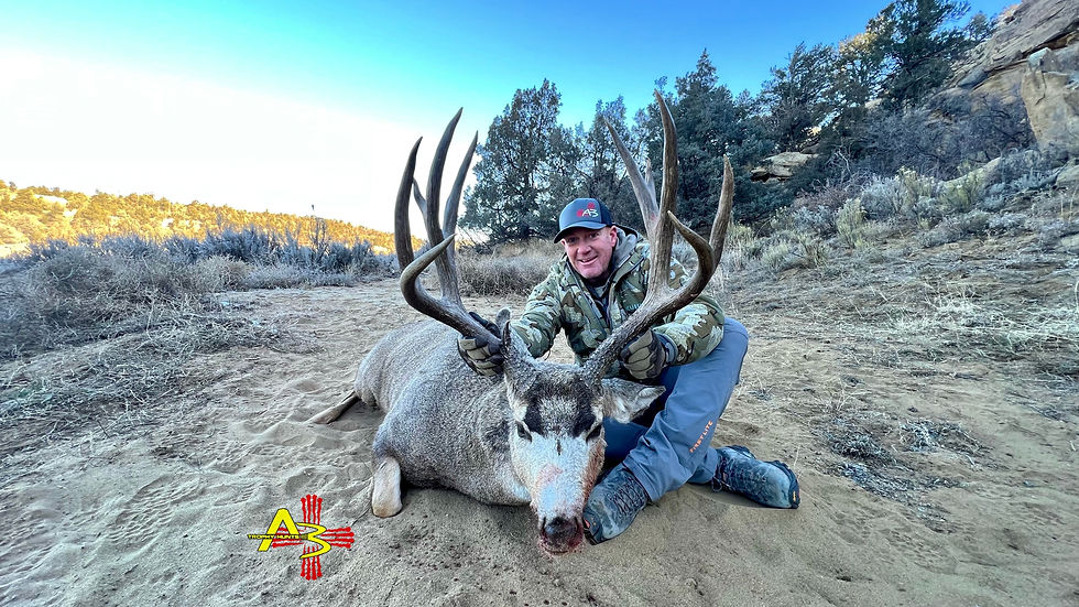 Rifle mule deer