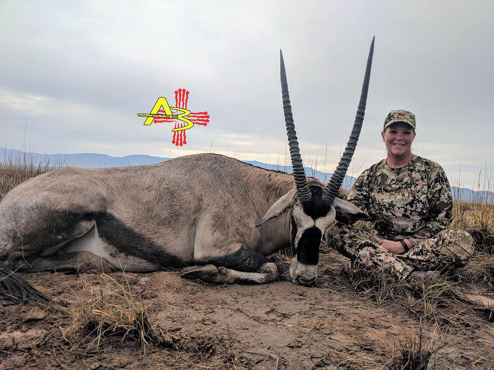 on range oryx