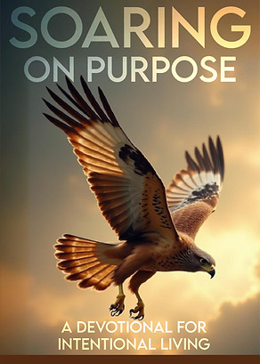 Soaring on Purpose - R4-01.jpg