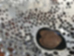 Thumbnail: Coral Bleach