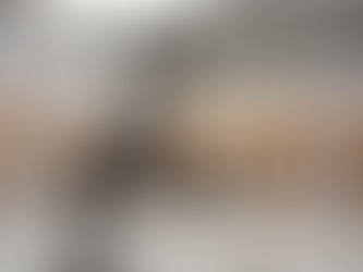 Artiștii plastici constănțeni expun la Muzeul de Artă