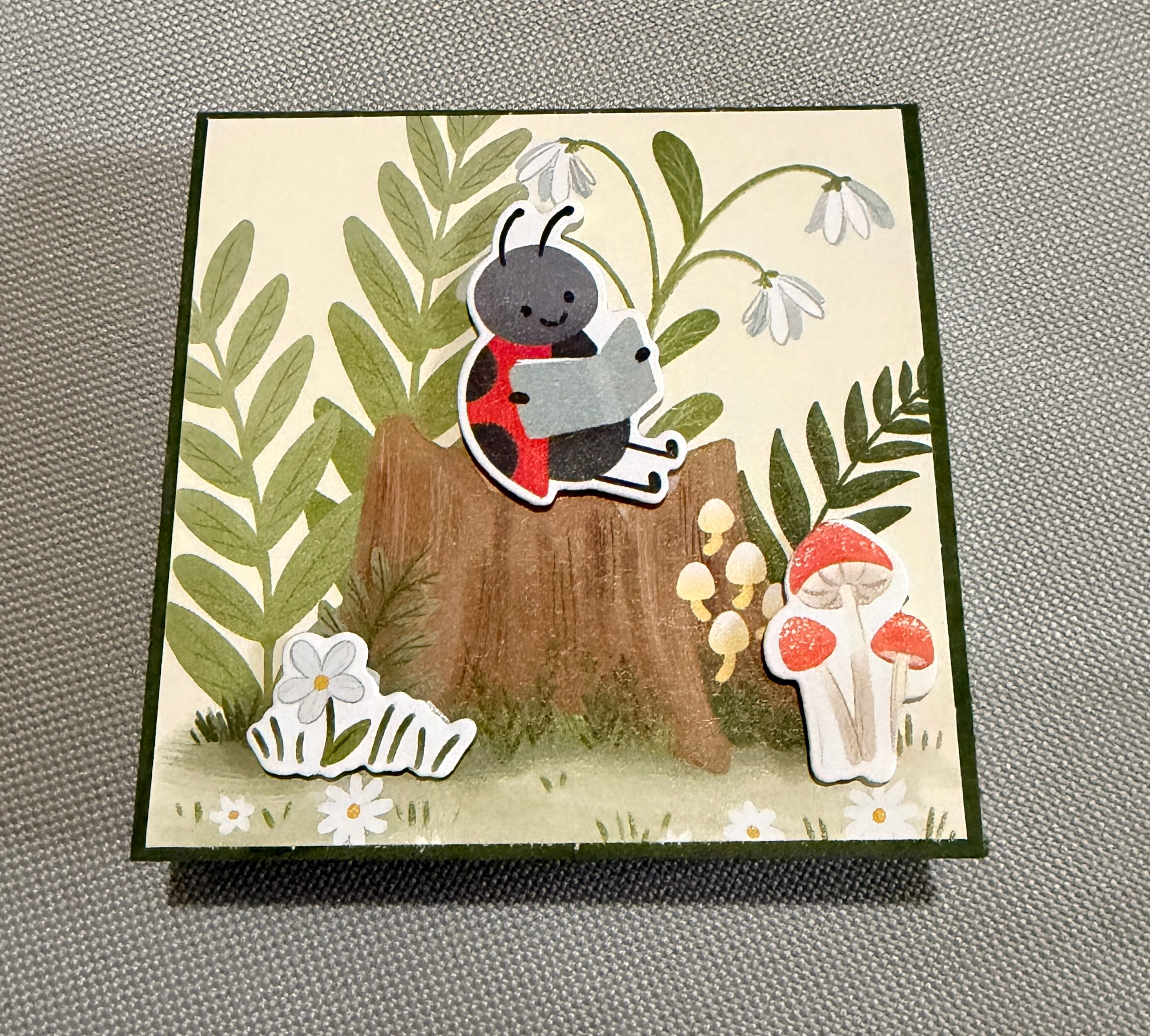 Book reading lady bug