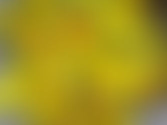 Calendula