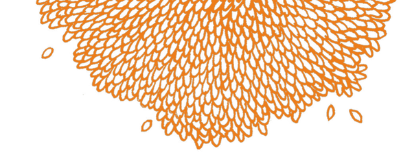 Illustration de professionnel pour l'Acvlm