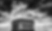 architecture-art-berlin-532864.jpeg