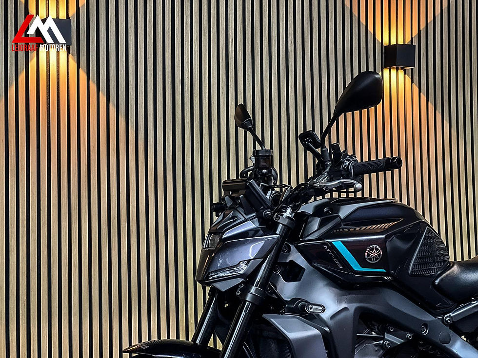 Thumbnail: Yamaha MT-09 - 2024 - Handvatverwarming - Dashcam - TFT