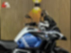 Thumbnail: BMW R 1250 GS Adventure - 2024 - Alle pakketten - Koffers