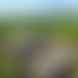 Moneylands Self Catering