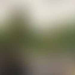 Thomas Moore Memorial Park