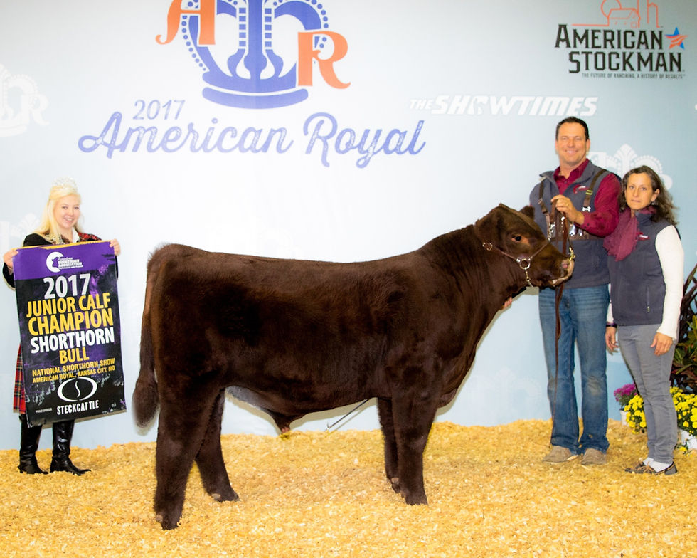 American Royal, 2018