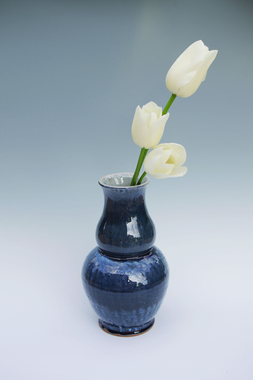 Blue Vase
