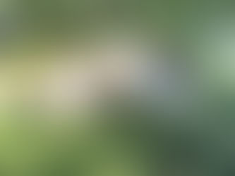 CO-Exclusivité ! Située dans le village paisible de LEVERNOIS