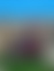 Résidence Courcirkoui