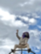 © Gérald De Viviés.JPG