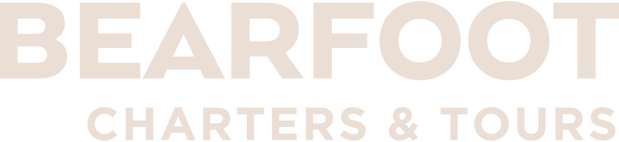 185f3d_5a9d0ef127ac493188cdbf9c6be413d5~