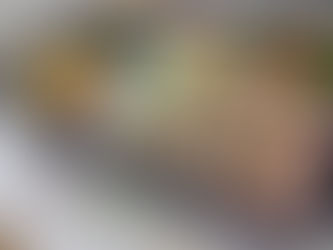 7月24日 本日のひまわりランチ