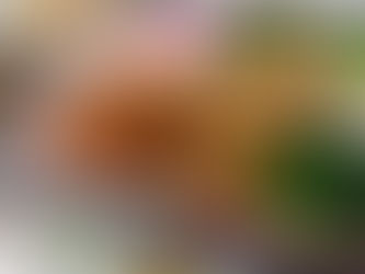 11月30日 本日のひまわりランチ