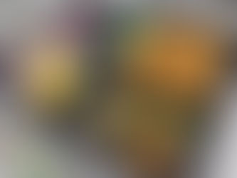 9月20日 本日のひまわりランチ