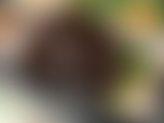 7月29日 本日のひまわりランチ