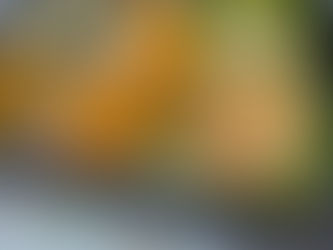 3月11日　本日のひまわりランチ