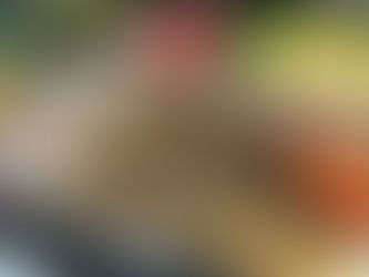 10月27日 本日のひまわりランチ