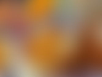 4月24日 本日のひまわりランチ