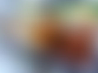 6月12日本日のひまわりランチ