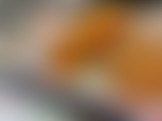 3月28日 本日のひまわりランチ